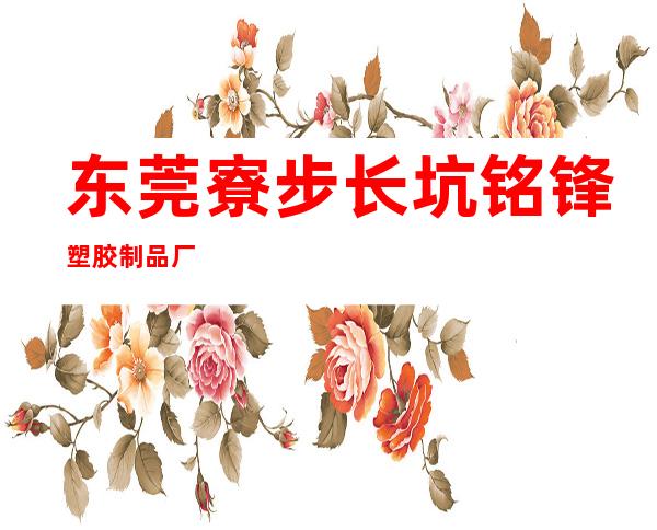 东莞寮步长坑铭锋塑胶制品厂